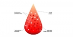 Immune Thrombocytopenia  (ITP) in children