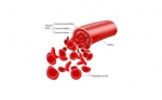 WARFARIN  part  I